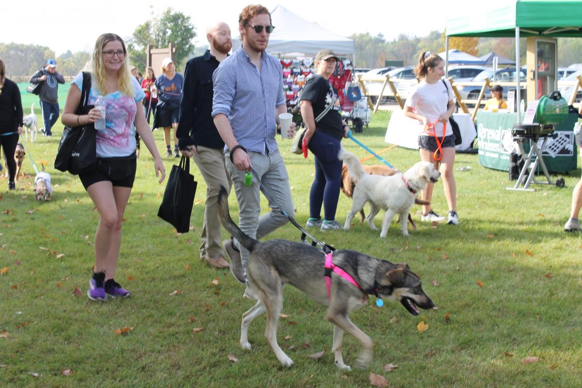 2021 Mutt Strut