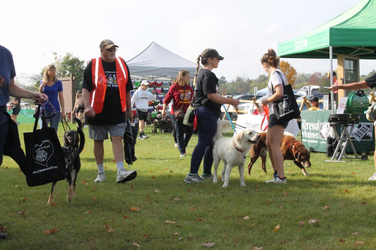 2021 Mutt Strut