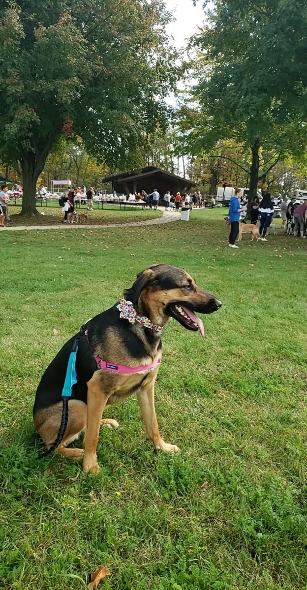2021 Mutt Strut